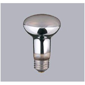 OH td 110V 100W` E26 5%ߓd` RF110V95WM