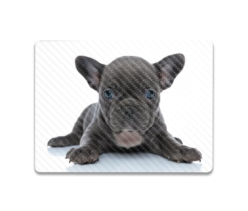 Image of MightySkins Carbon Fiber Skin Compatible with Microsoft Surface Laptop Go 3 (2023) Full Wrap Kit - French Bulldog | Protective Durable Textured Carbon Fiber Finish | Made in The USA