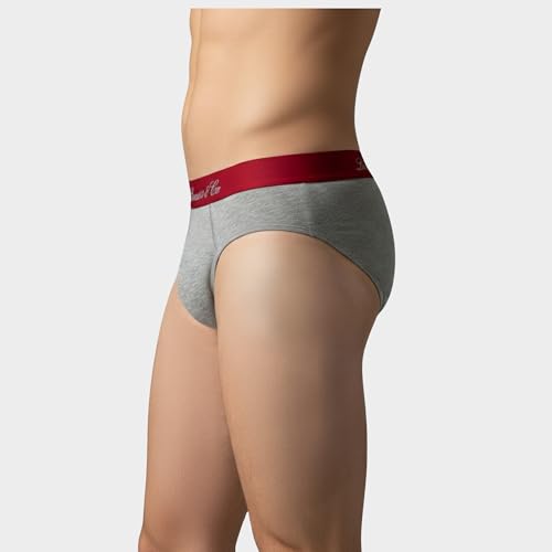 Image of Levi's Cotton Elite Brief | Premium Men's Brief Underwear | 4-Way Stretch | Outer Elastic Waistband | Double-Layered Pouch | Style 073 | Pack of 1