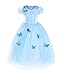 JerrisApparel Flower Girls Dress Princess Costume Butterfly Girl (4 Years, Sky Blue with Accessories)