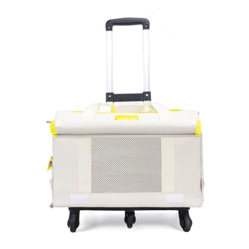 BRZUybgLÁA^A^ALɍœKłBLX^[A^їpnhAxr[J[nhA܂肽ݎbVybgnEX ω׏dĂ邽߁AAEghAAsAԓAhCuAUAȂǂɍœKłB (F̊,A1)