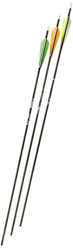 Gold Tip Ultralight Entrada 500 Arrows with 4-Inch Vanes (72 Count)