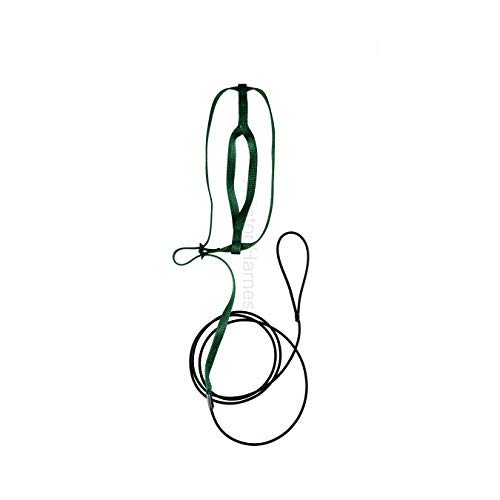 Image of The AVIATOR Pet Bird Harness and Leash: Large Green