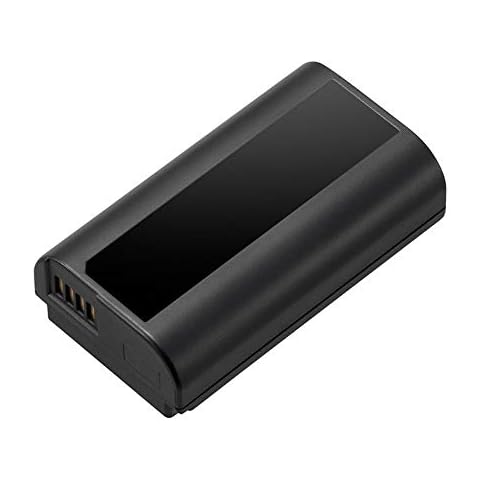Panasonic LUMIX DMW-BLJ31 Battery for S Series Cameras Cover
