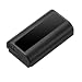 Panasonic Authentic LUMIX DMW-BLJ31 Lithium-ion Battery for Panasonic LUMIX S Series Mirrorless Cameras