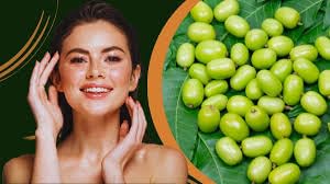 Premium Quality Neem Seeds - Vepa Ginjalu - Azadirachta Indica - secchi