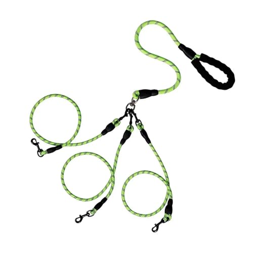 ybgpfAwbhpEH[LO[v g^p^[ 1{j 2{[v h~ O\(Green,3 heads)