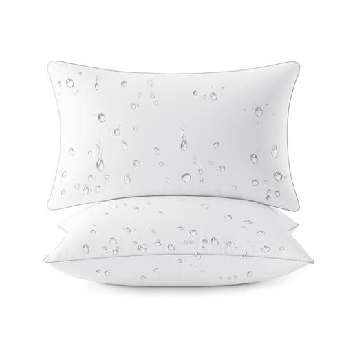 MIULEE Pack of 2 12x20 Outdoor Pillow Inserts Waterproof Decorative Rectangle Throw Pillow Inserts for Patio Sofa Garden Porch Couch
