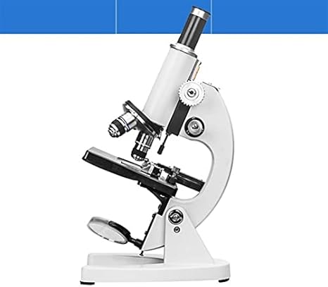 RongJian Microscopio para niños Estudiantes Adultos 640/1600X Microscopio Experimental Microscopio para niños Experimento biológico Estudiantes (Size : 1600X with Battery)
