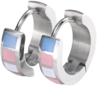 Stainless Steel Rainbow Hoop Earrings LGBT Pride Earrings for Lesbian Bisexual Transgender Nonbinary Asexual Flag Earrings LGBTQ Pride Jewelry Gifts