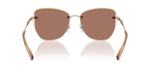Michael Kors Women's Mk1158d Beijing Butterfly Sunglasses4