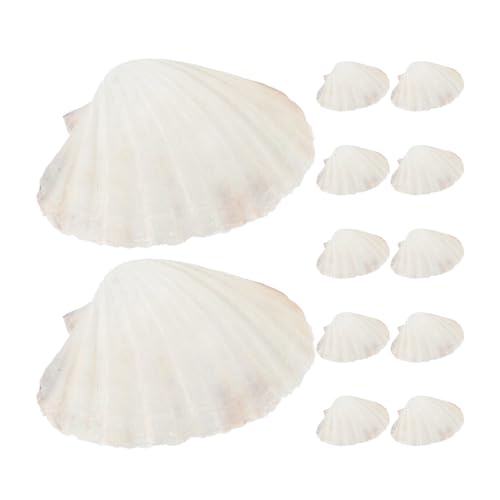 Zerodeko 20���� �V�R�z�^�e�L�k ���a10�`12cm �����ϐ��ȒP���|�\�ȍė��p�\�T�[�r���O�p�� �V�[�t�[�h��f�U�[�g�̒񋟂ɍœK �r�[�`�p�[�e�B�[��DIY�N���t�g�f�R���[�V�����ɂ��g����V�R�L�k�M
