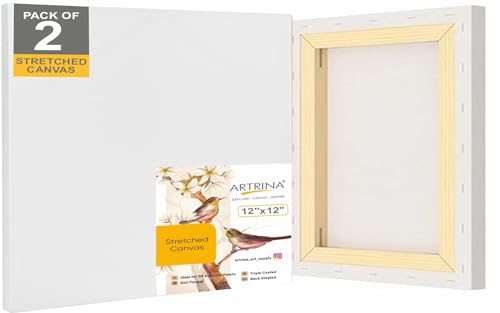 Image of Artist Standard Series 10 Oz (440 GSM) 100% Cotton Pre-Stretched Canvas with Wooden Frame 18x40 mm | Primed Canvas Stretched for Oil & Acrylic Painting 12 inch x 12 inch (30x30 cm), Pack of 2