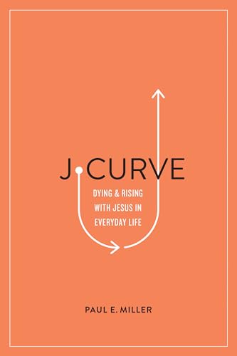 J-Curve view 2