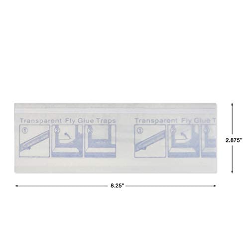 Catchmaster Bug & Fly Clear Window Fly Traps - Pack Of 12 Traps #TOP1