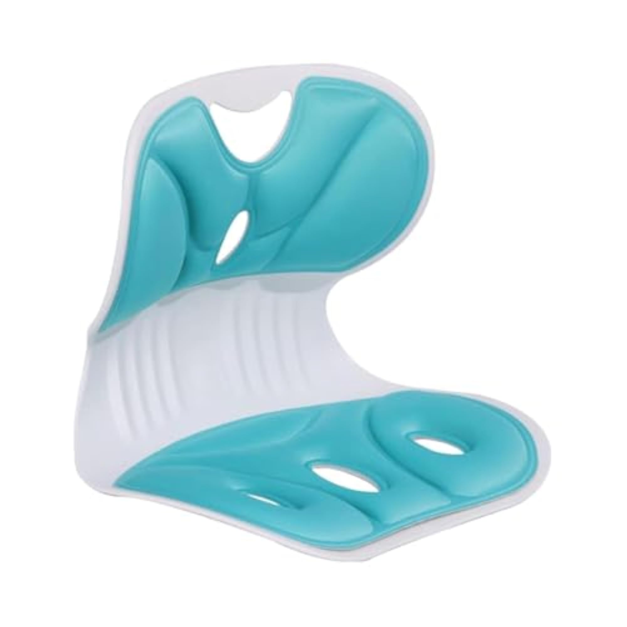 Ergonomic Lumbar Support Cushion, Memory Foam, Sky Blue