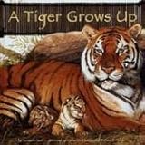 Photo Gallery a tiger grows up Photo Gallery a tiger grows up