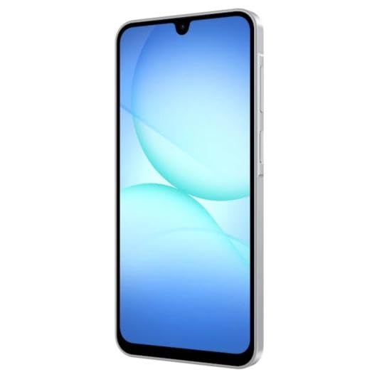 Samsung Galaxy A17 4G 8 Go/256 Go Gris (Gris) Double SIM