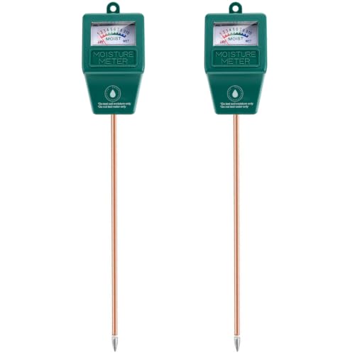 Antonki 2-Pack