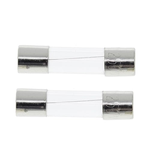 Fusible 5x20 rapide 10A protégeant vos appareils contre surtension Lot de 10 fusibles verre