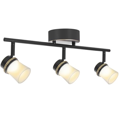 Image of 3 Light Dimmable LED Track Lighting Kit, Matte Bronze Flush Mount Ceiling Light Fixture with Etched Glass Shades, Adjustable Wall Lamp with Integrated LED Bulbs