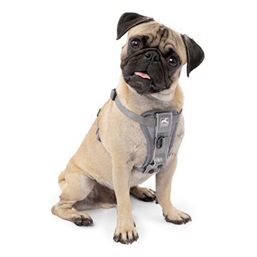 Kurgo Dog Harness, Grey, XS