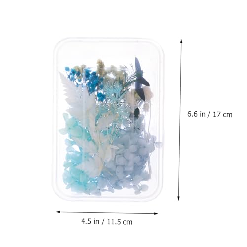Set natural de flores secas prensadas para arte DIY miniatura 2
