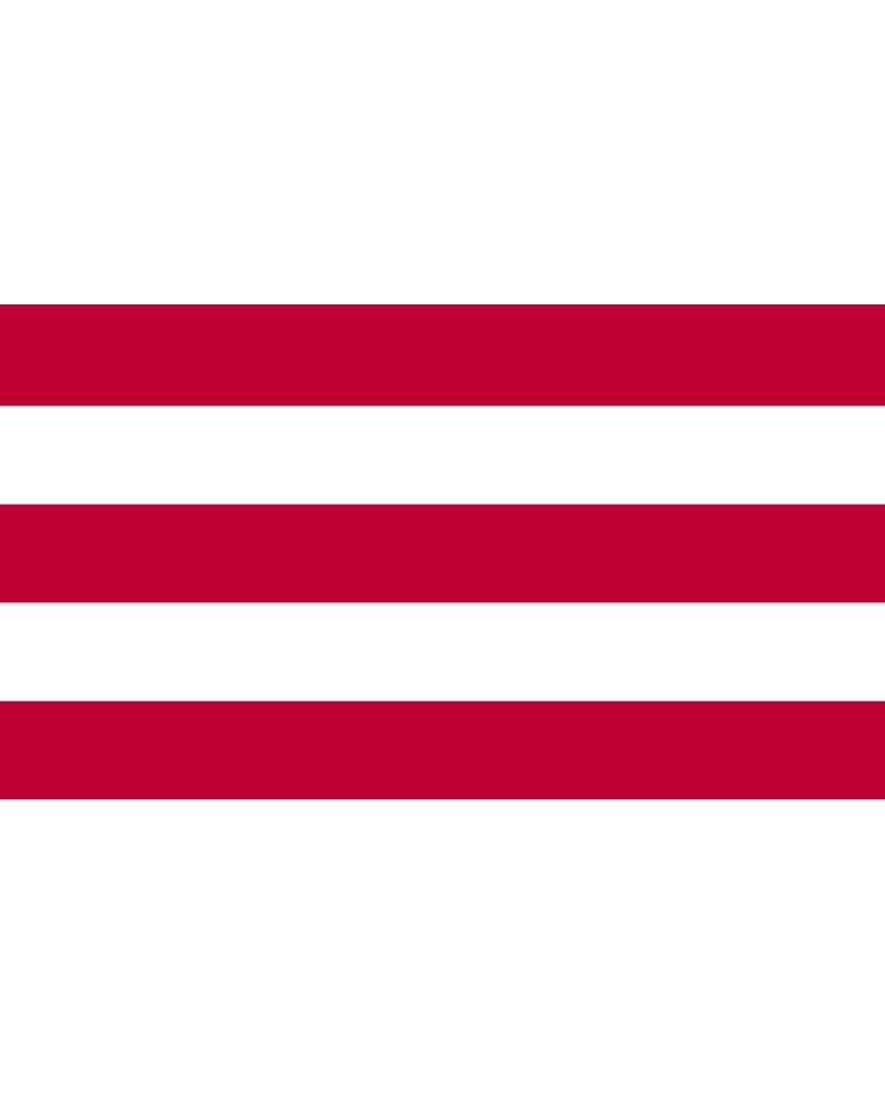 Drapeau Large Tsu domain bannière japonaise Edo collection historique