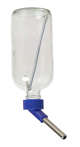 Lixit Glass Water Bottles For Rabbits, Ferrets, Small Birds, Guinea Pigs, Rats, Hamsters And Other Pets (8Oz) #TOP1