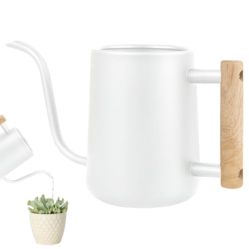 WANDGU Annaffiatoio in acciaio inox da 1 l con manico in legno, annaffiatoio per piante d'appartamento, piccolo vaso di irrigazione moderno per piccole piante in vaso e fiori da appartamento piante