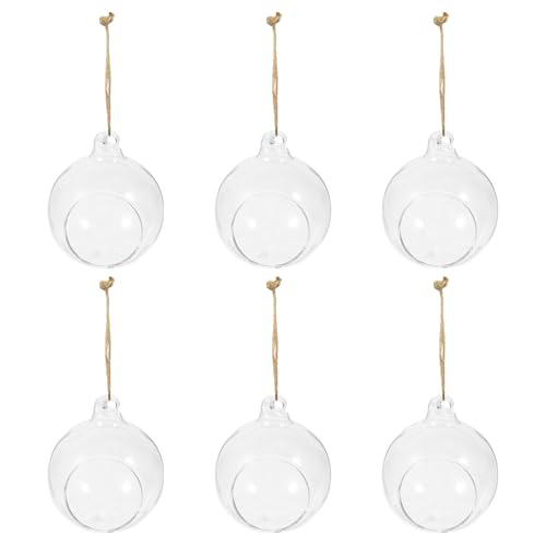 DIYEAH 6 Piezas Jarrones Colgantes Hidropónicos Transparentes de Vidrio Esférico para Plantas Macetas Decorativas para Hogar Oficina y Eventos