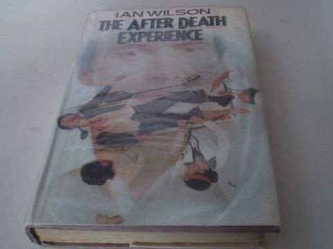 The After Death Experience 0283994959 Book Cover