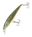 Major Fish