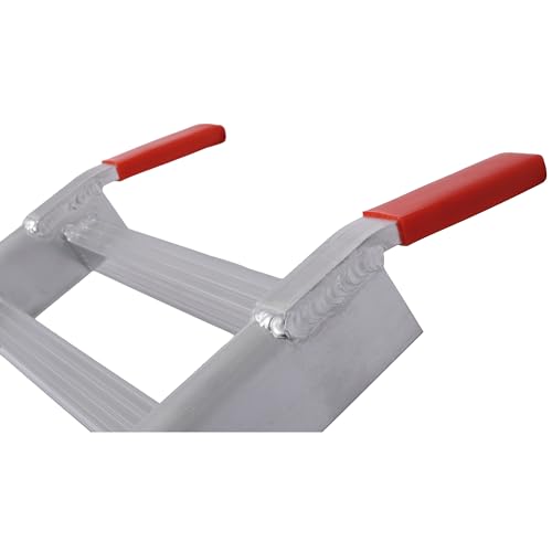 Rampa de aluminio plateada premium 1400 LBS/par miniatura 6