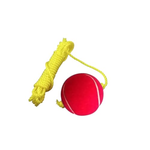 Image of Red Tennis Hanging Cricket Ball 3 Meter Yellow String (1)