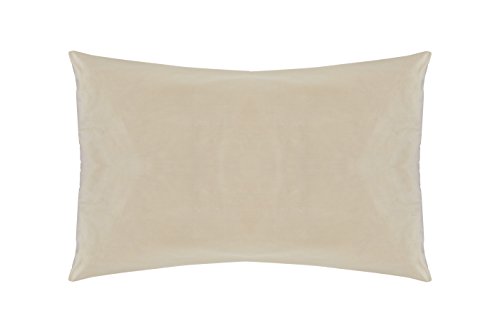 Sleep & Beyond 20 by 30-Inch Washable Wool Pillow, Queen, Natural