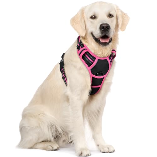 Image of rabbitgoo Dog Harness No Pull with 2 Leash Clips, Adjustable Soft Padded, Reflective Oxford No Choke Pet Vest with Easy Control Handle for Large Dogs, Black & Hot Pink, XL