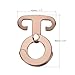 MECCANIXITY Aluminum T-Ring Hooks, Tent Rope Buckles Self-Locking Camping Cord Hook Hanger for Hiking Backpacking Picnic, Brown Pack of 6