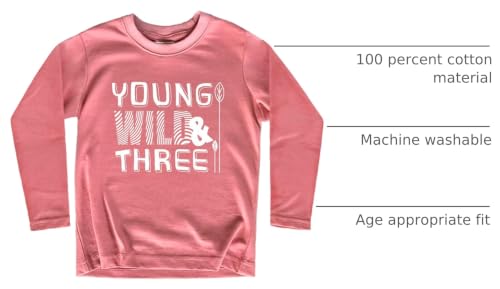 Image of Young Wild and Three Girl 3rd Birthday Outfit Toddler Shirts 3 Year Old Girls Third Party Tshirt