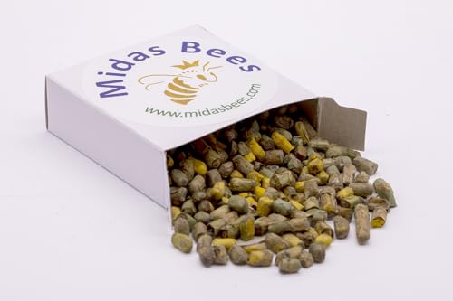 Solitary Leafcutter Bee Cocoons 200ct. Loose Cell. Compatible with Most bee Houses.