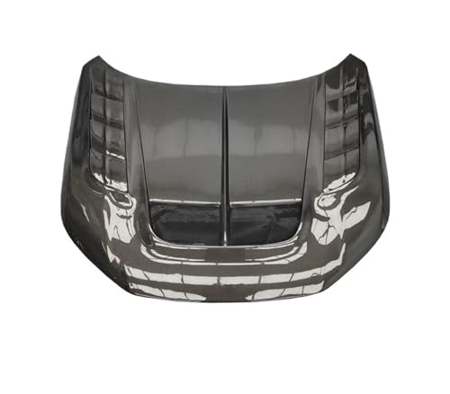 TypeR FL5 Varis�G���W���J�o�[�ƌ݊����̂�������J�[�{���t�@�C�o�[�t�[�h�A�G���W���t�[�h�A�L���r���t�[�h(Black2)