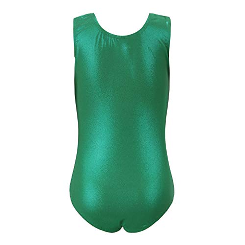 Image of Girls Gymnastic Leotards Sleeveless Gradient Color Spark Splash Dance Bodysuit