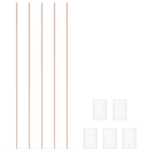 stonylab Eisenblech-Elektrode, 10x15x1 mm, GDMS-getestet, 5er-Pack für Elektrochemie