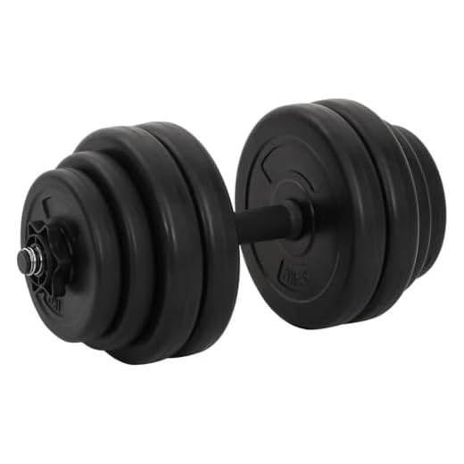 vidaXL Hantlar 2x15 kg