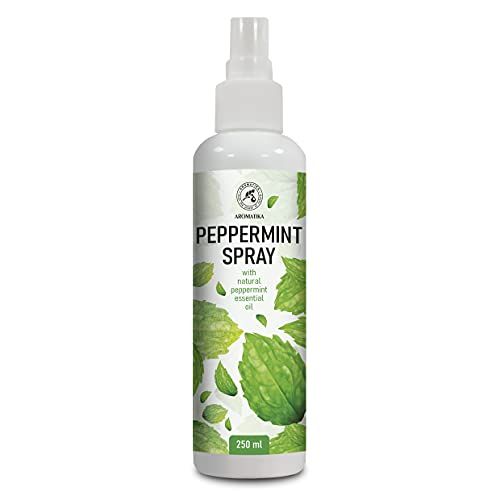 Pulverizador Aromático para Habitación y Ropa de Cama 250ml - Ambientador Pulverizador con Aceite Esencial de Menta - Perfumador Hogar - Perfume de Interior - Fragancia Menta - Spray Almohada
