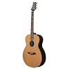 PRS SE T60 Tonare, Natural with Case