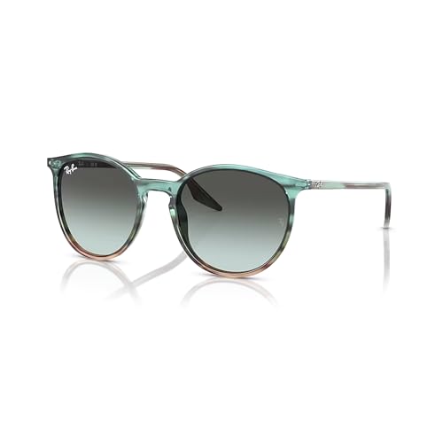 Ray-Ban RB2204 Rounded Sunglasses for Men for Women +BUNDLE with ACCESSORY EYEWEAR KIT