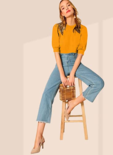 Image of Dream Beauty Fashion Women's Puff Sleeve Round High Neck Top Balloon Bishop Sleeve Elegant Casual Tee (23 inch Inches)- (Top Sofia P)