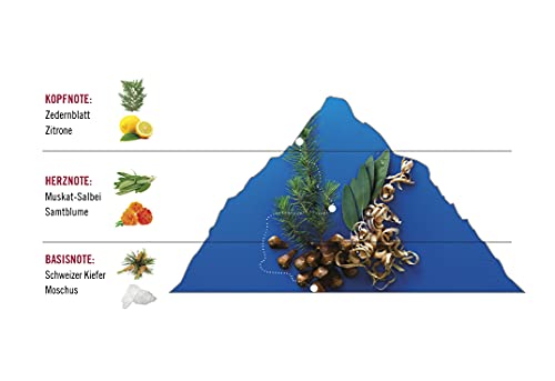 Victorinox Swiss Army Altitude Eau De Toilette Spray For Men 3.4 Oz / 100 Ml #TOP2