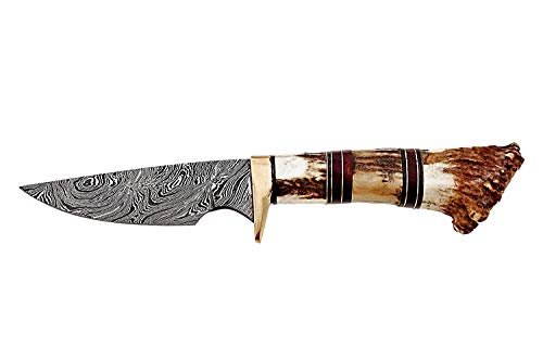 Damascus Steel Hunting Knife - Fixed Blade Knives with Sheath - Firm Grip Handle Made of Stag Horn(ST2) - Thumbnail 5